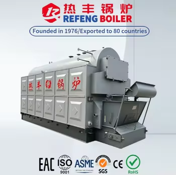 DZH Steam Boiler Wood Fired System 6t/h High Efficiency